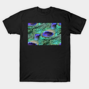 Pretty Peacock Feather Pattern T-Shirt